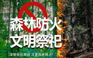 清明節：文明祭奠、預防火災